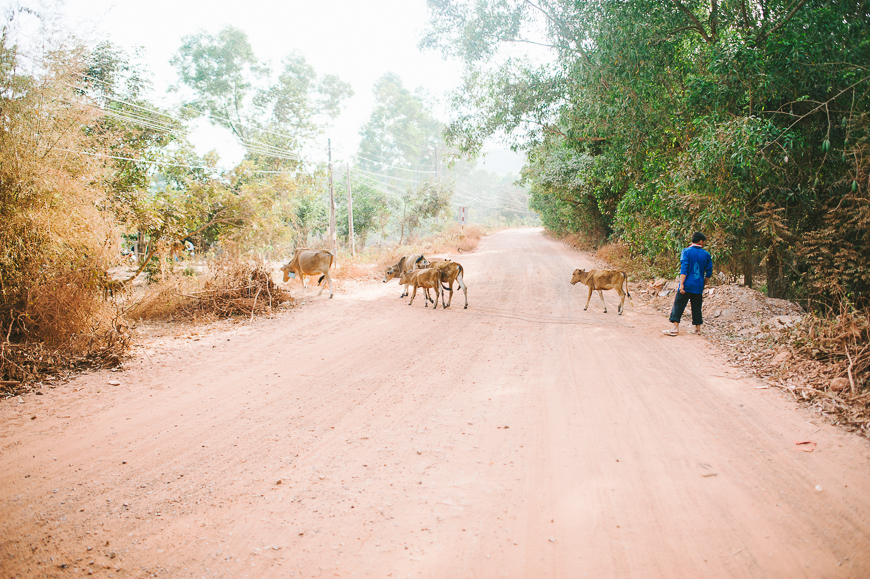 Vietnam_Travel_Tips_-79