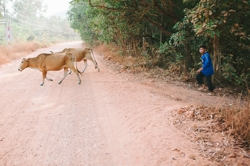 Vietnam_Travel_Tips_-80