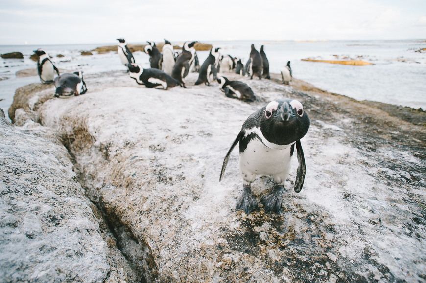 Cape-Town-for-National-Geographic-35