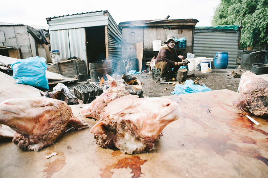 Cape-Town-for-National-Geographic-8